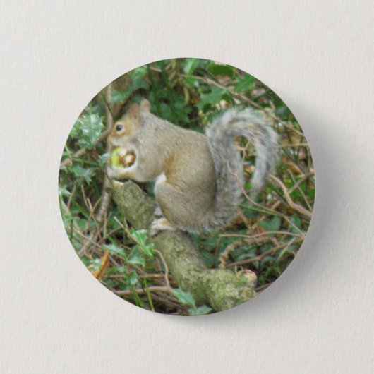 Eichhörnchen mit Acorn Button (Vorderseite)
