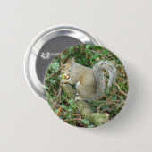 Eichhörnchen mit Acorn Button (Vorne & Hinten)