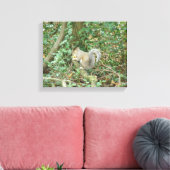 Eichhörnchen mit Acorn Canvas Print Leinwanddruck (Insitu (Wohnzimmer))
