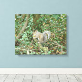 Eichhörnchen mit Acorn Canvas Print Leinwanddruck (Insitu (Holzboden))