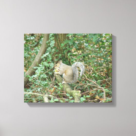 Eichhörnchen mit Acorn Canvas Print Leinwanddruck (Vorderseite)