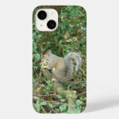 Eichhörnchen mit Acorn Case-Mate iPhone Hülle (Rückseite)