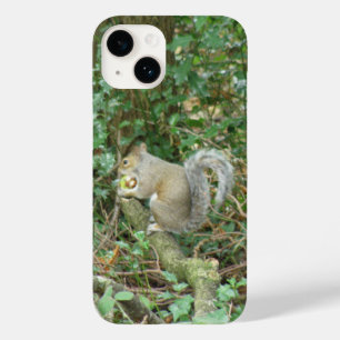Eichhörnchen mit Acorn Case-Mate iPhone Hülle