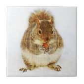 Eichhörnchen mit Acorn Fliese (Vorderseite)