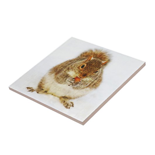 Eichhörnchen mit Acorn Fliese (Seite)