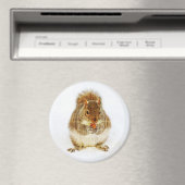 Eichhörnchen mit Acorn Magnet (In Situ (Geschirrspüler))