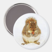 Eichhörnchen mit Acorn Magnet (Vorderseite/Rückseite)