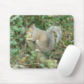 Eichhörnchen mit Acorn Mousepad (Mit Mouse)