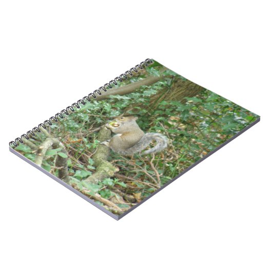 Eichhörnchen mit Acorn-Notebook Notizblock (Linke Seite)