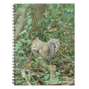 Eichhörnchen mit Acorn-Notebook Notizblock