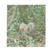 Eichhörnchen mit Acorn Notepad Notizblock (Vorderseite)