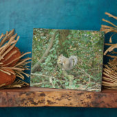 Eichhörnchen mit Acorn Plaque Fotoplatte (Seite)