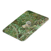Eichhörnchen mit Acorn Premium Magnet (Linke Seite)