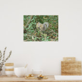 Eichhörnchen mit Acorn Print Poster (Küche)