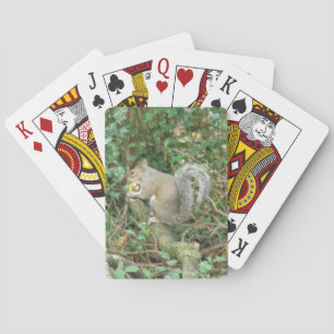 Eichhörnchen mit Acorn Spielkarten