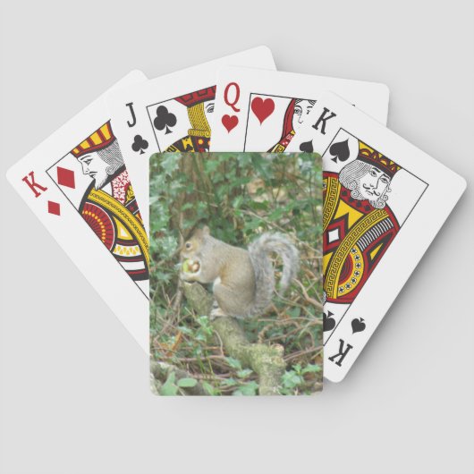 Eichhörnchen mit Acorn Spielkarten (Rückseite)