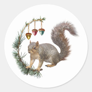 Eichhörnchen mit Acorn Swag Stickers