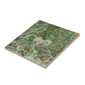 Eichhörnchen mit Acornkeil Fliese (Seite)