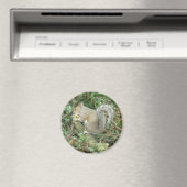 Eichhörnchen mit Acornmagnet Magnet (In Situ (Geschirrspüler))