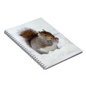 Eichhörnchen mit Berry-Notebook im Schnee Notizblock (Rechte Seite)