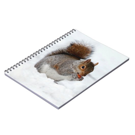 Eichhörnchen mit Berry-Notebook im Schnee Notizblock (Linke Seite)