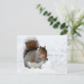 Eichhörnchen mit Berry Postcard im Schnee Postkarte (Stehend Vorderseite)