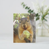 Eichhörnchen mit Birnenkarte Postkarte (Stehend Vorderseite)