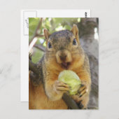 Eichhörnchen mit Birnenkarte Postkarte (Vorne/Hinten)