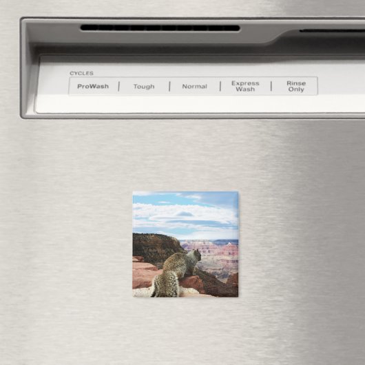 Eichhörnchen mit Blick auf den Grand Canyon, Arizo Magnet (In Situ (Geschirrspüler))