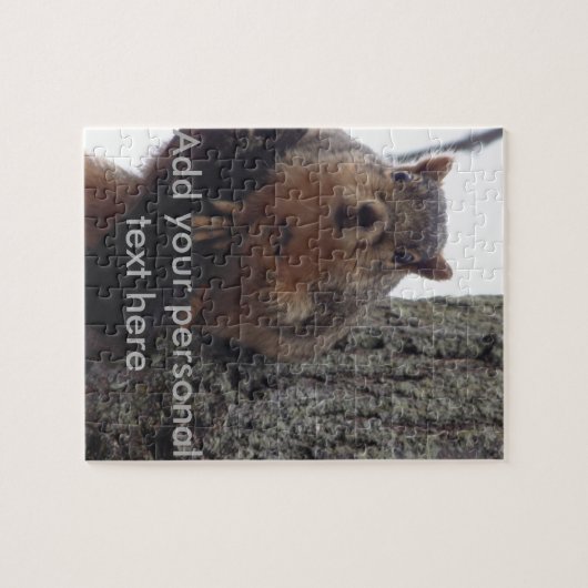 Eichhörnchen mit Blick auf Ihr Rätsel Puzzle (Horizontal)