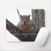 Eichhörnchen mit Blick auf Ihre Maus-Pad Mousepad (Mit Mouse)