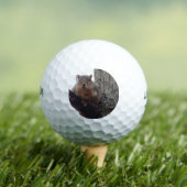 Eichhörnchen mit Blick auf Ihren Golfball (Insitu T-Shirt)