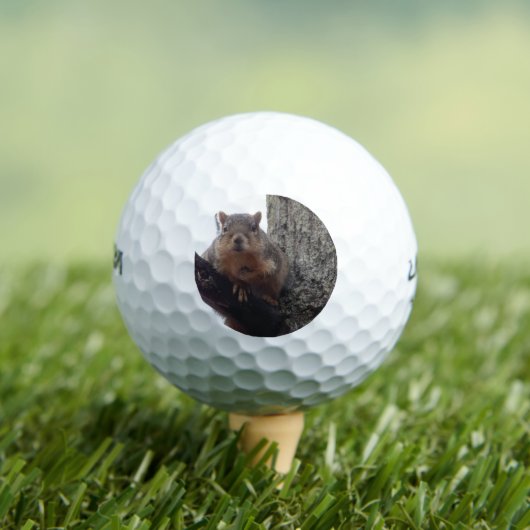 Eichhörnchen mit Blick auf Ihren Golfball (Insitu T-Shirt)