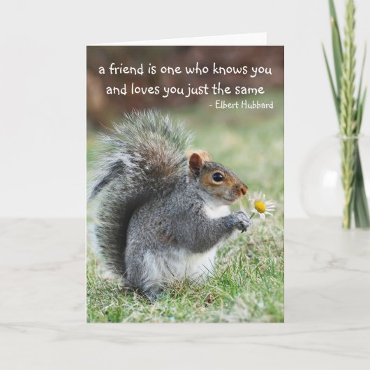 Eichhörnchen mit Daisy Friendship Quote Card Karte (Vorderseite)