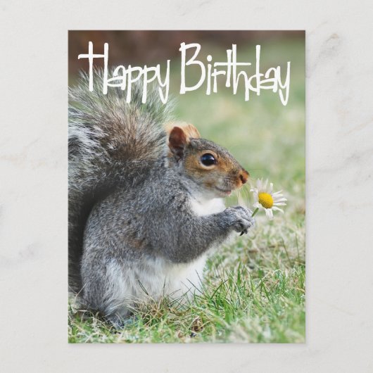 Eichhörnchen mit Daisy Happy Birthday Postcard Postkarte (Vorderseite)