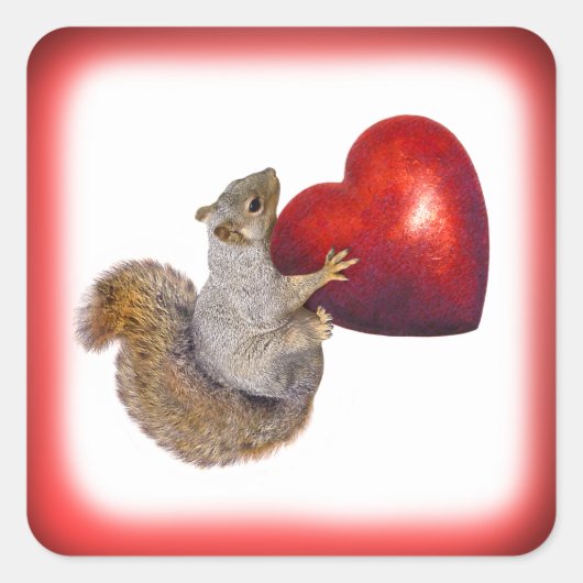 Eichhörnchen mit dem Aufkleber "Big Red Heart" (Vorderseite)