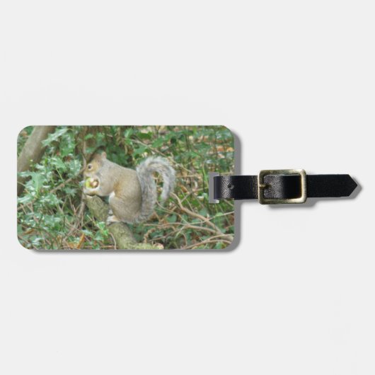 Eichhörnchen mit dem benutzerdefinierten Gepäckanh Gepäckanhänger (Vorderseite horizontal)