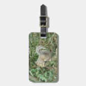 Eichhörnchen mit dem benutzerdefinierten Gepäckanh Gepäckanhänger (Vorderseite vertikal)