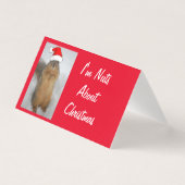 Eichhörnchen mit einem Santa Claus-Hut (Vorderseite)