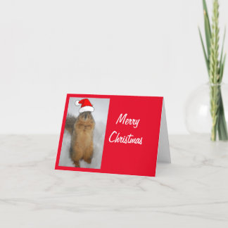 Eichhörnchen mit einem Weihnachtshut zu Weihnachte Dankeskarte