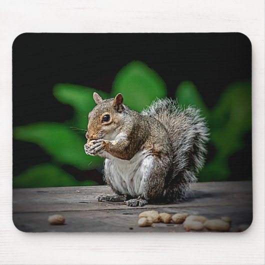 Eichhörnchen mit Erdnüssen Mousepad (Vorne)