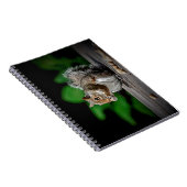 Eichhörnchen mit Erdnüssen Notizblock (Rechte Seite)