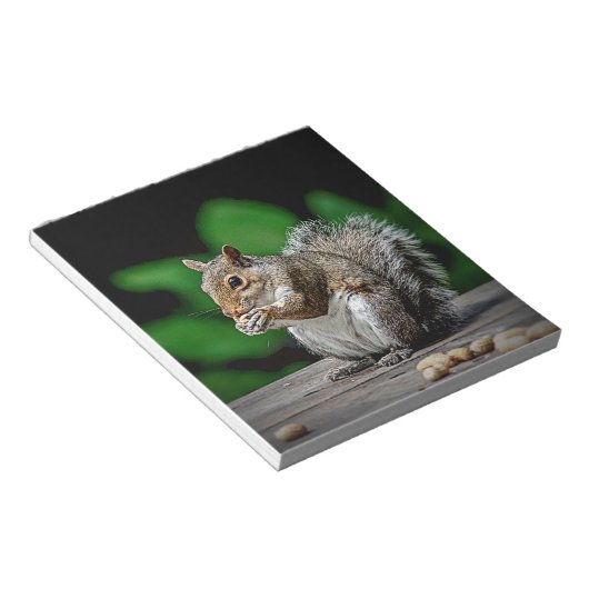 Eichhörnchen mit Erdnüssen Notizblock (angewinkelt)