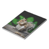 Eichhörnchen mit Erdnüssen Notizblock (Rotiert)