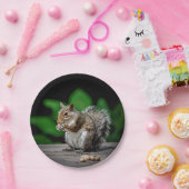 Eichhörnchen mit Erdnüssen Pappteller (Party)