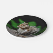 Eichhörnchen mit Erdnüssen Pappteller (Schrägansicht)