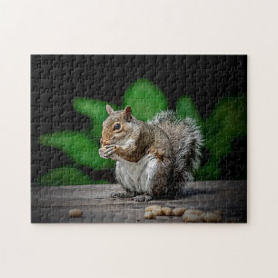 Eichhörnchen mit Erdnüssen Puzzle