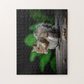 Eichhörnchen mit Erdnüssen Puzzle (Vertikal)