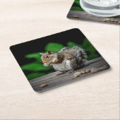 Eichhörnchen mit Erdnüssen Rechteckiger Pappuntersetzer (angewinkelt)