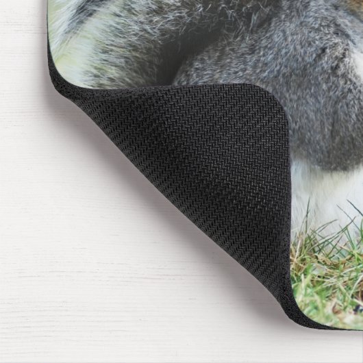 Eichhörnchen mit Gänseblümchen-Kennzeichen-9:23 Mousepad (Ecke)